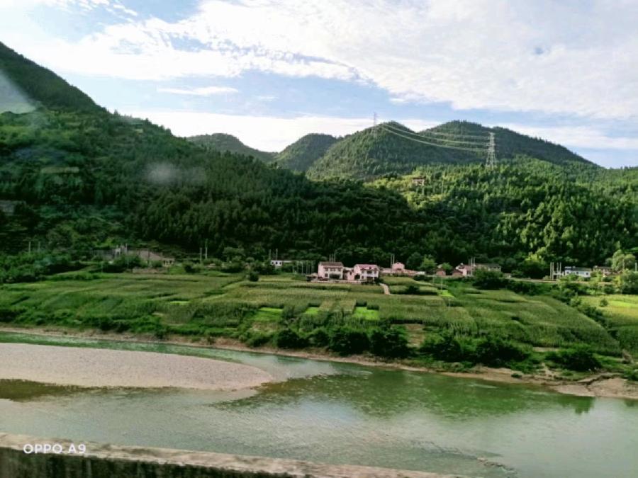 《故道文化》“消夏”参赛作品：第20号（图15）