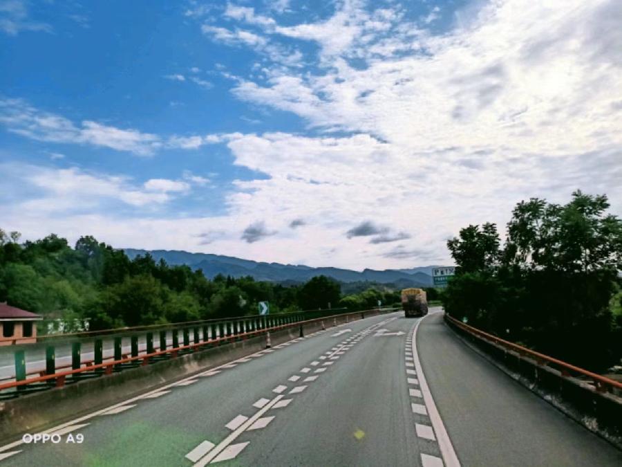 《故道文化》“消夏”参赛作品：第20号（图14）