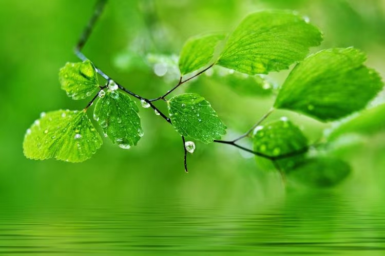 《0542-古韵诗絮》(图14)