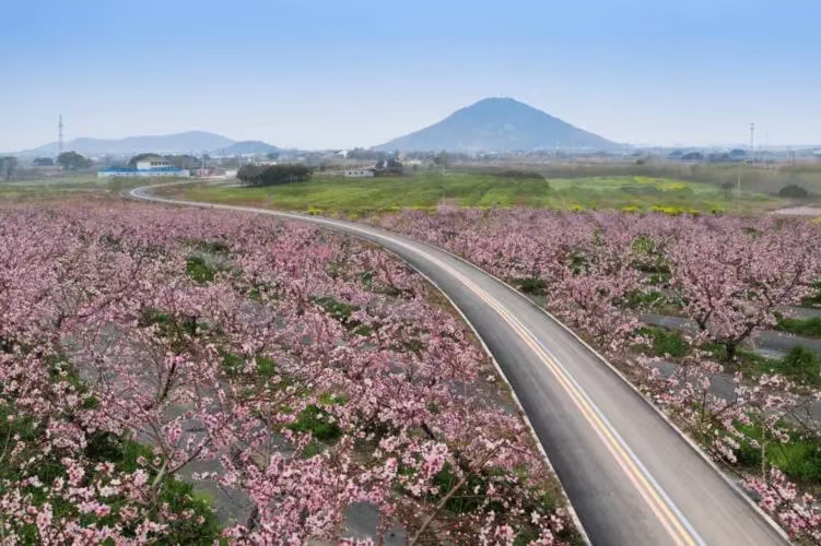 《0542-古韵诗絮》(图24)