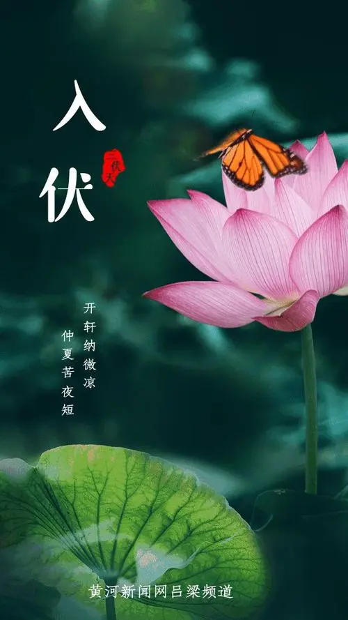 初 伏‖文图/赵京江，书法/太行山人武功（图2）