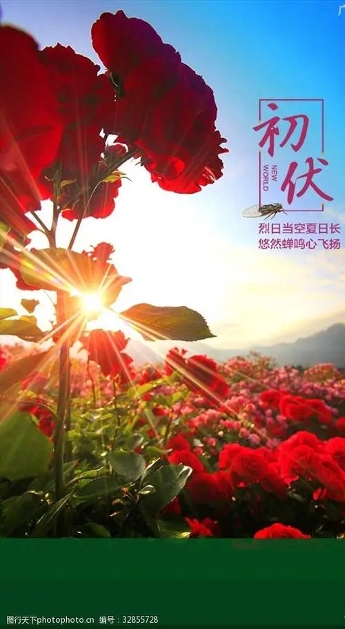 初 伏‖文图/赵京江，书法/太行山人武功（图4）