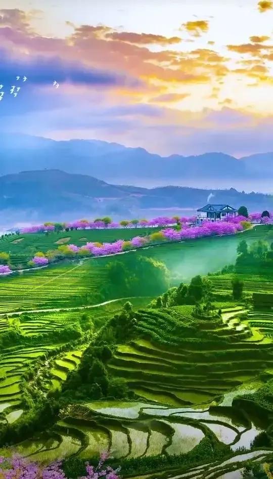 【原创】三木秉凤散文诗选 525《天地有大美而不言》(图10)