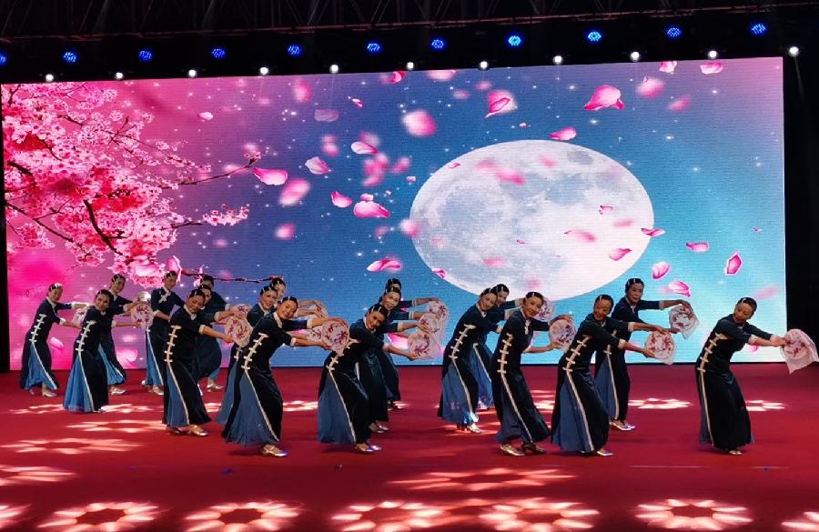 南湖老年大学舞蹈队再获殊荣（图2）