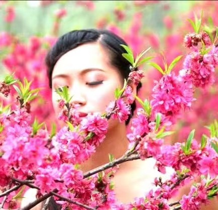 【雯荔之声】荔琴&焦文利合诵：生如夏花（图3）