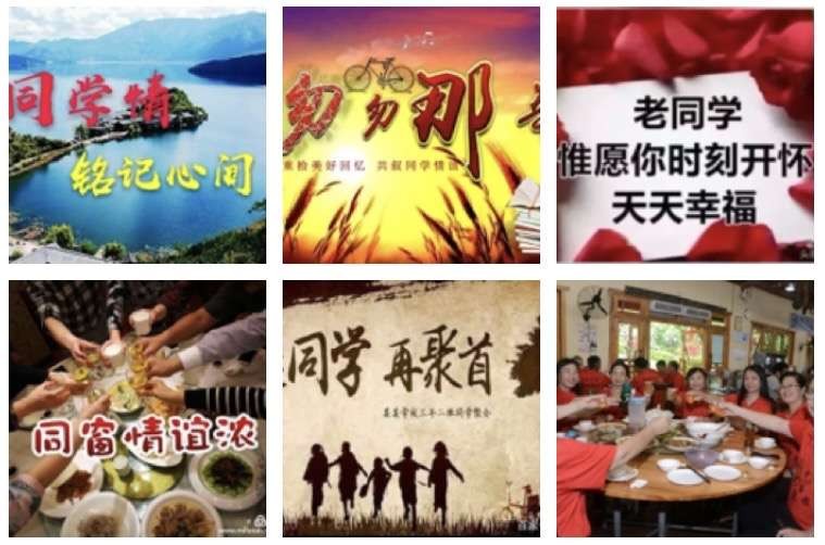 【诗词专辑二】文/风鸽（张晓峰）【冰心文化传媒】主编冰心（图3）