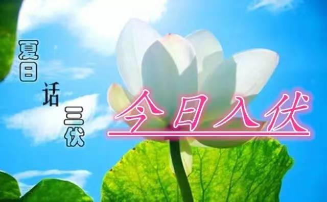 入伏赋/黄恩智(图3)