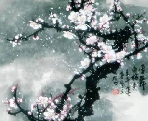 王爱君卜算子系列花草雅集23首:【冰心文化传媒】主编冰心(图12)