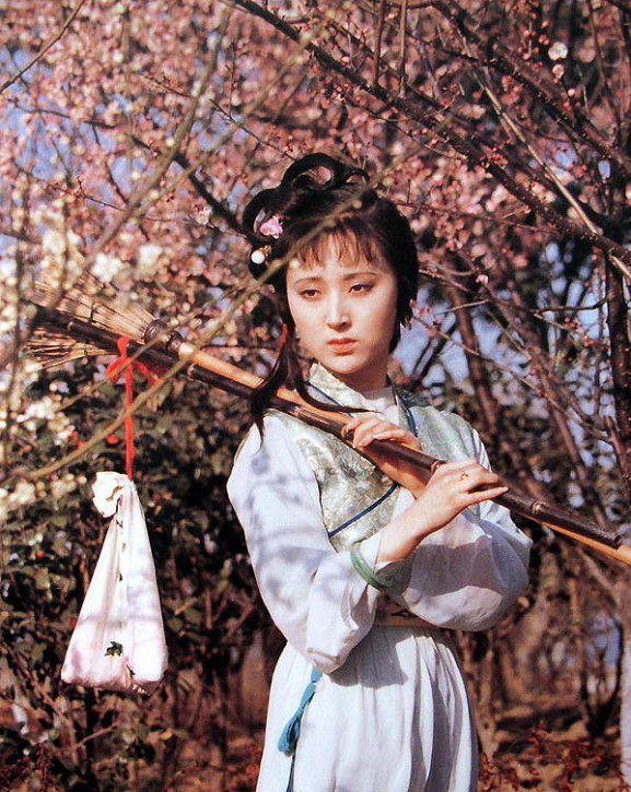 《红楼梦》系列之七十三组(第21至30回)11首(平水韵)*中华新韵* 孙春红 山东【冰心文化传媒】(图9)