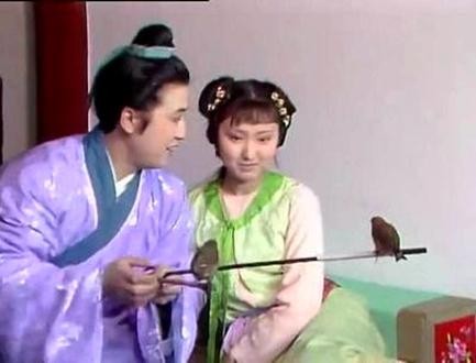 《红楼梦》系列之七十三组(第21至30回)11首(平水韵)*中华新韵* 孙春红 山东【冰心文化传媒】(图24)