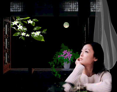 【枫雅汇看图约诗】诗人陈江《162期》(误入词海醉梦中)(图8)