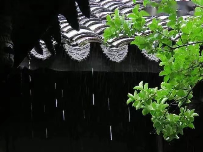 野草先生引人深思的《青楼风盈红楼梦》｜中国桂林都市文学社749期（图5）