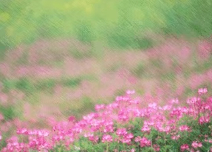 野草先生引人深思的《青楼风盈红楼梦》｜中国桂林都市文学社749期（图10）