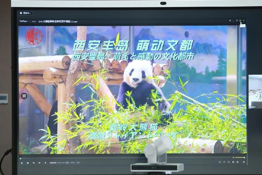 萌宠“使者”跨网联动,西安丰岛“萌动”文都(图9)