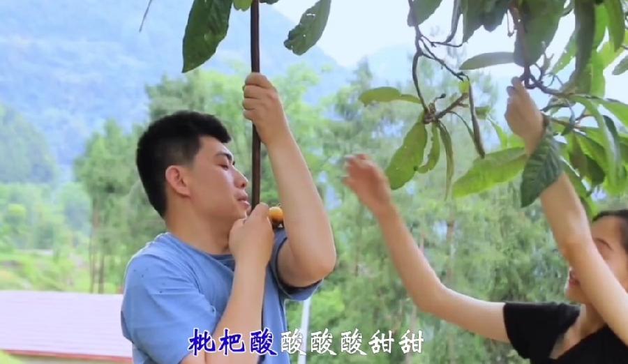 《枇杷情》作词/吕述明 作曲/白新华 演唱/苏晓光(图2)