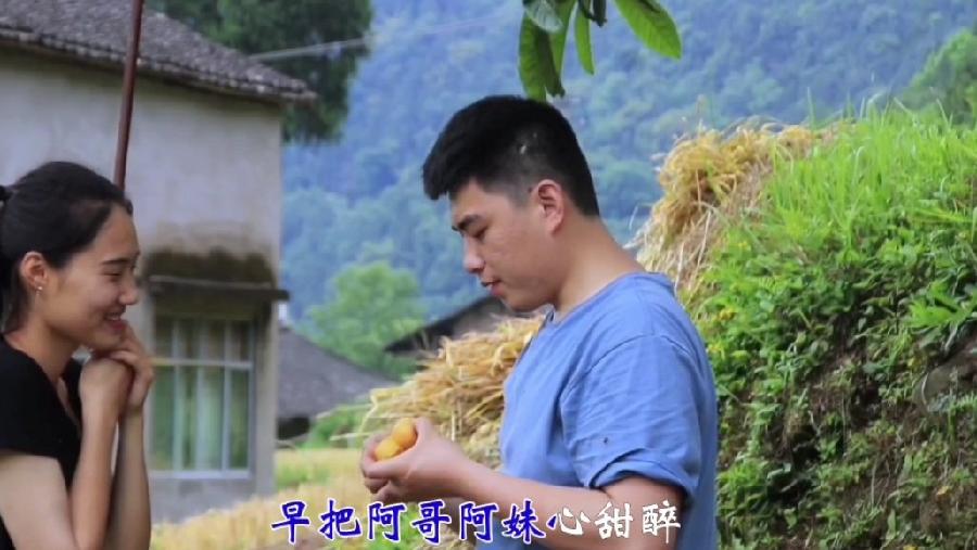 《枇杷情》作词/吕述明 作曲/白新华 演唱/苏晓光(图3)