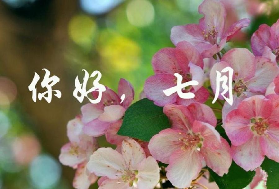 【明心文学】七月 作者/刘金学 主播/文溪（图2）