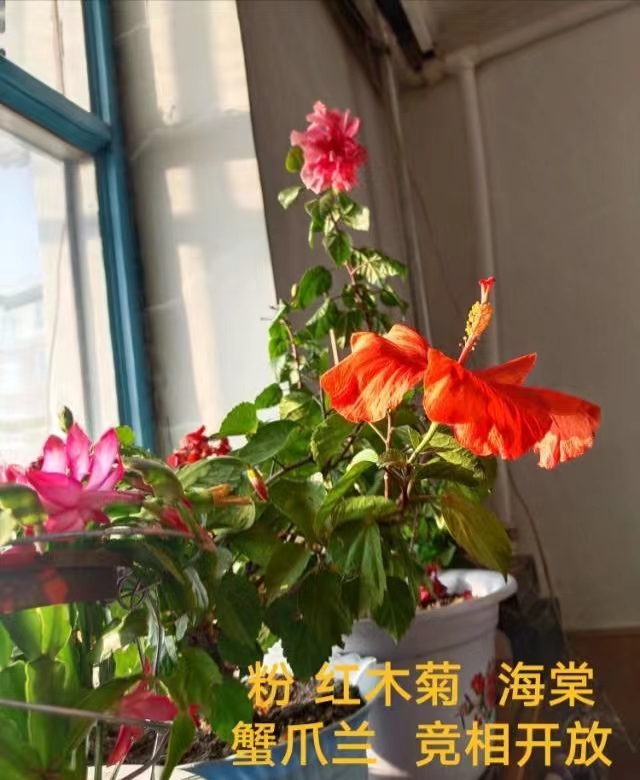 王明:原创诗词四首(图15)