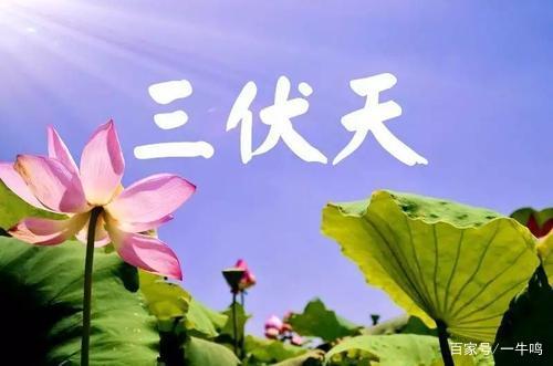《故道文化•副刊》第二三二期:王德春散文(图2)