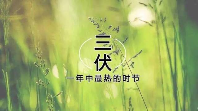 《故道文化•副刊》第二三二期:王德春散文(图3)