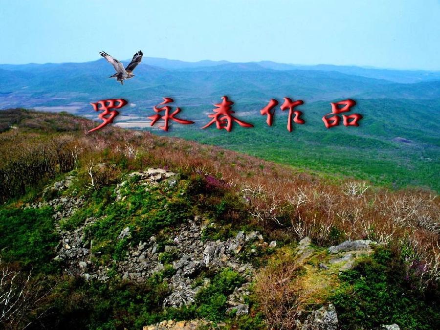 作家罗永春:《大顶山景区赋》(图3)