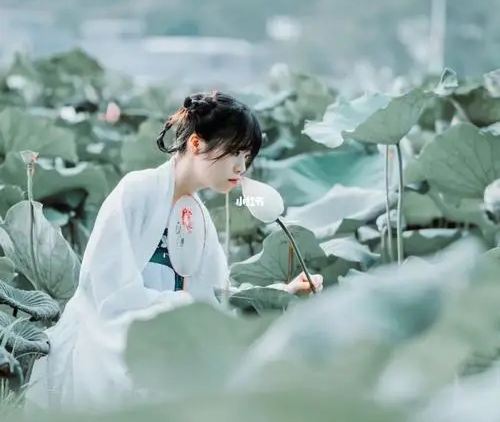 【华夏周刊】第102期诗友合辑