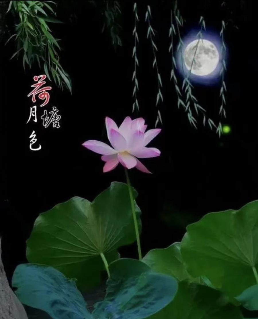 【雯荔之声】孔祥会诵读:荷塘月色