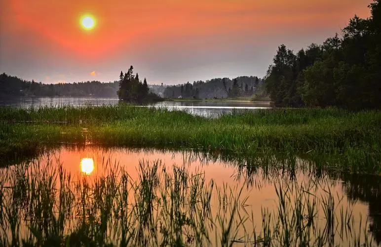 [桃源国际诗歌古韵]2022年古韵颂赞合集（四十二）作者:施性山[总1133期]（图8）