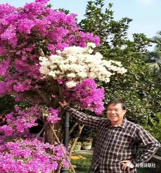 0.jpg