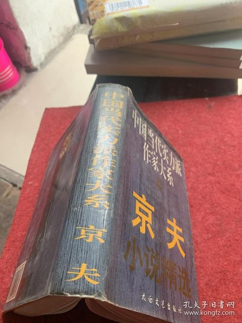 《穿越梦想工作室》隆重推出著名作家王宇鹏的佳作〔京夫的平民情怀〕(图6)