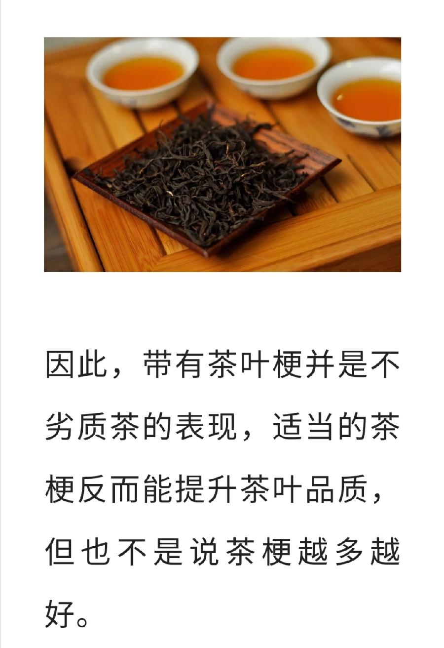 对于茶梗，有人爱有人恨，它到底是垃圾还是宝贝？（图15）