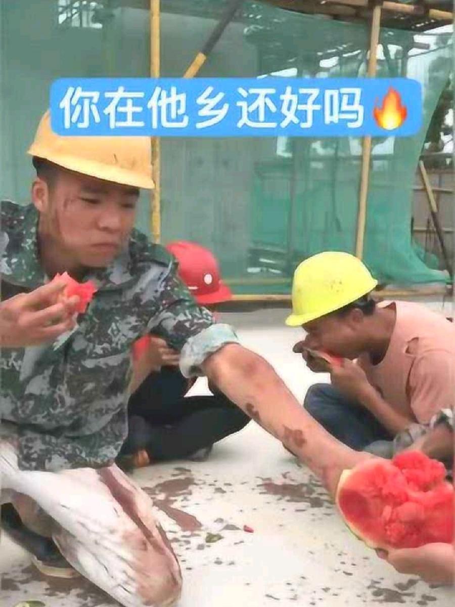 【名家名篇】【九江文学社:北京头条】推荐欣赏著名爱国军旅作家许峰先生佳咏《游子吟》 诗说/邓三君(图3)