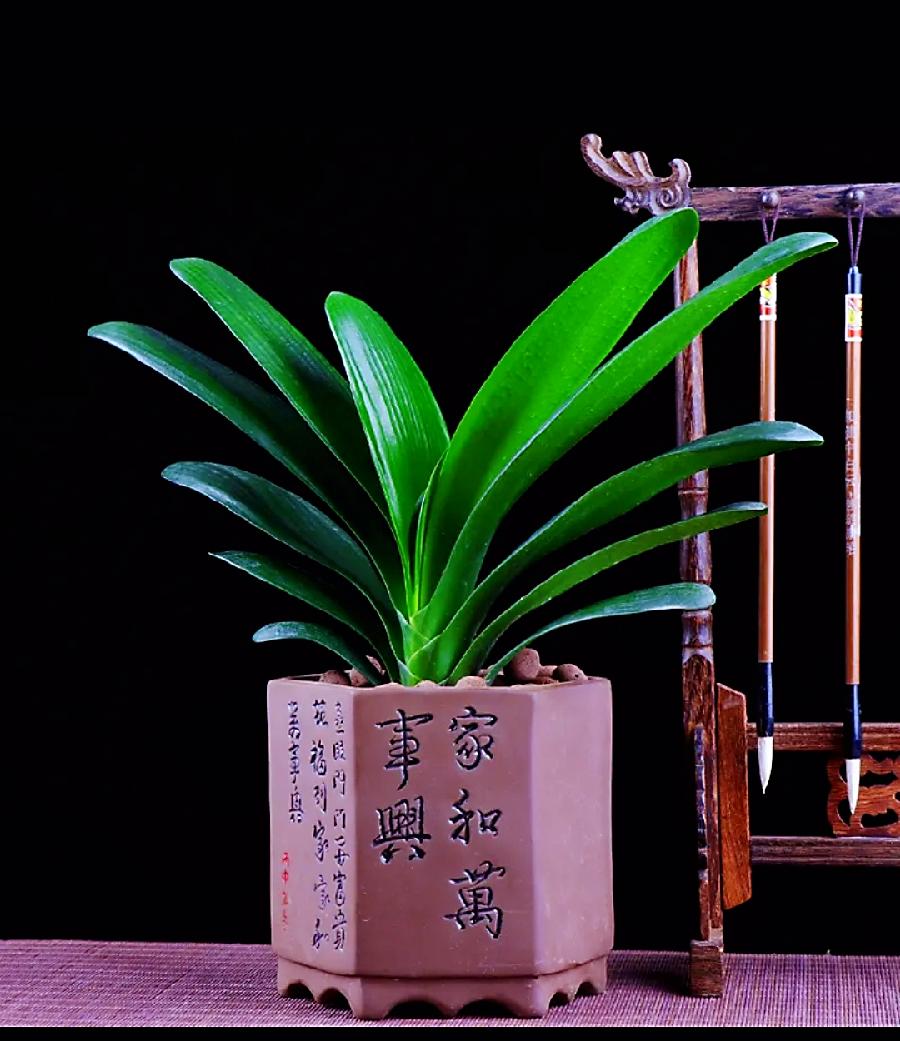 符琼莲：心安即是归途（图3）