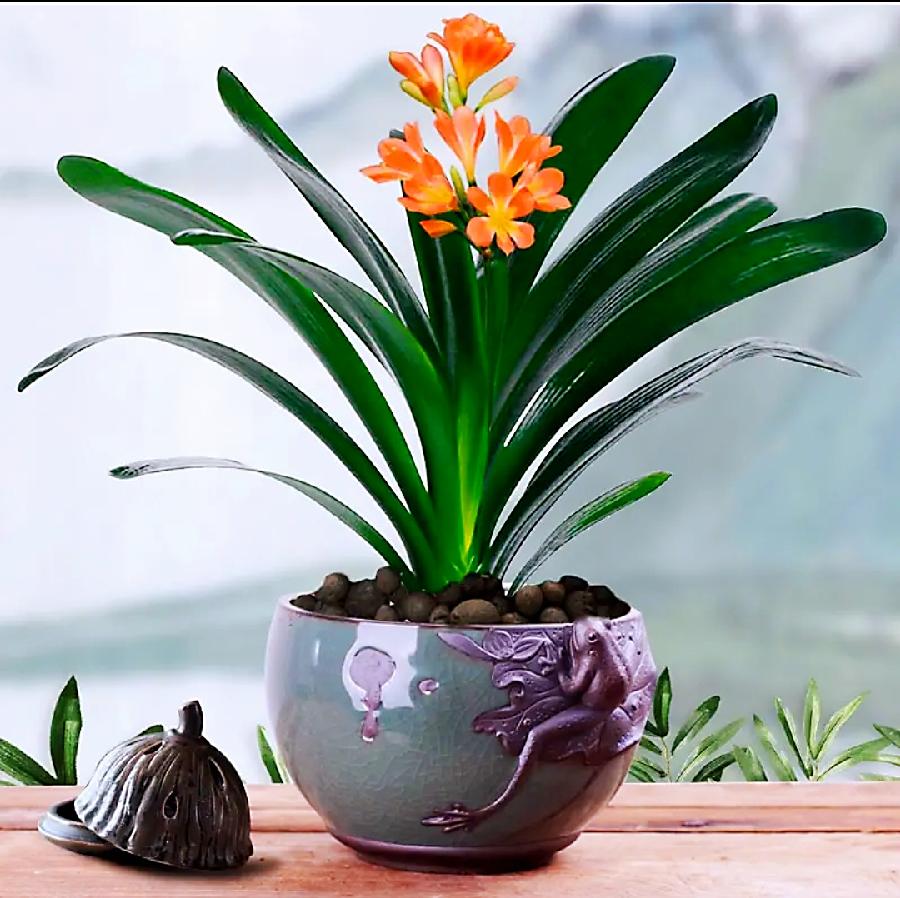 符琼莲：心安即是归途（图4）