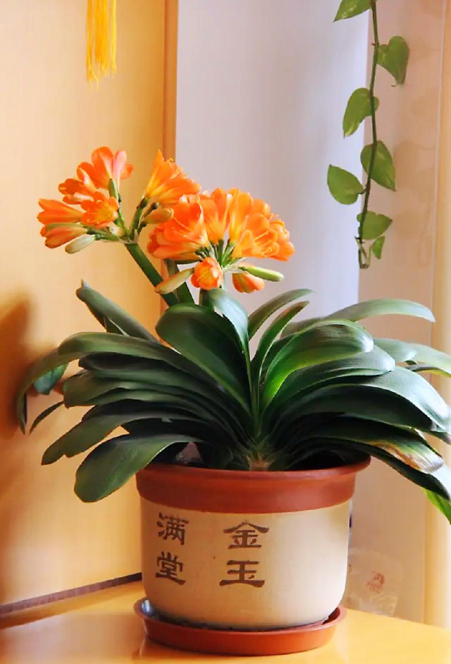 符琼莲：心安即是归途（图8）