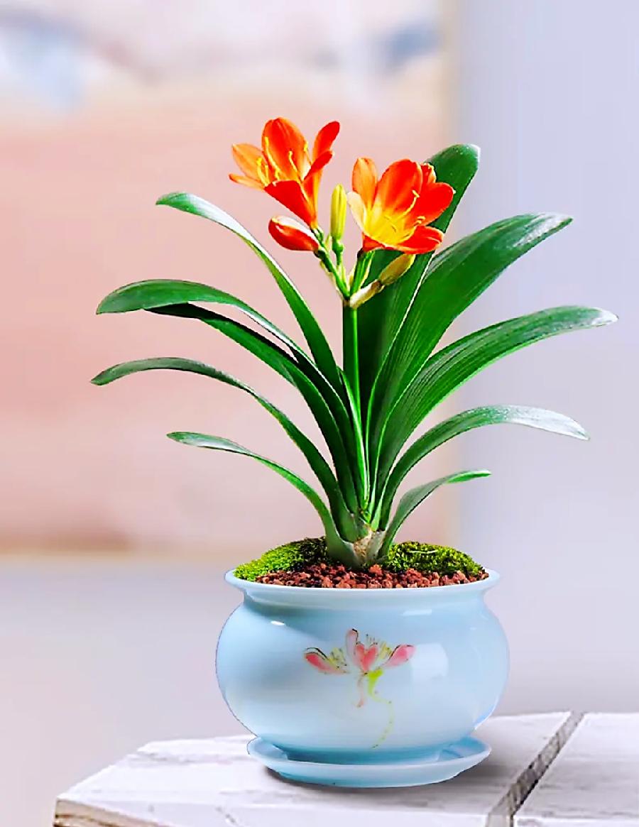 符琼莲：心安即是归途（图5）