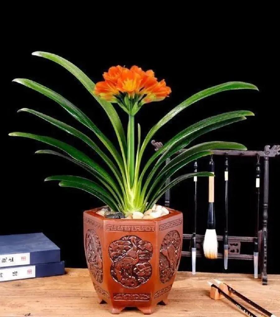 符琼莲：心安即是归途（图12）