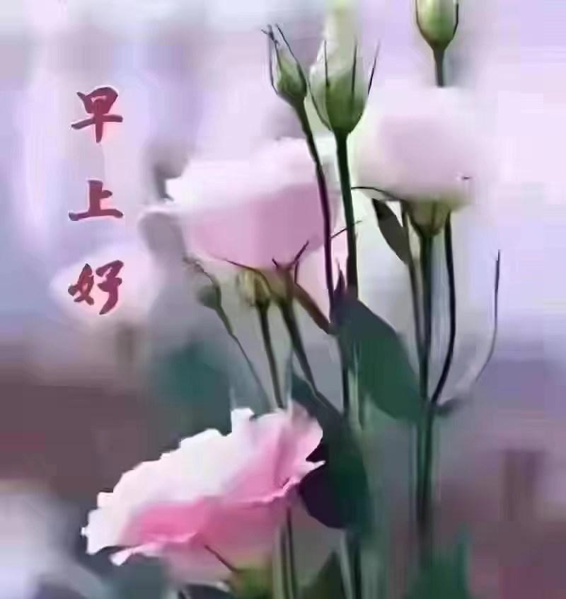 桂太平先生《夏日情怀》格律诗专辑｜金牌主播虹｜中国桂林都市诗社750期（图3）