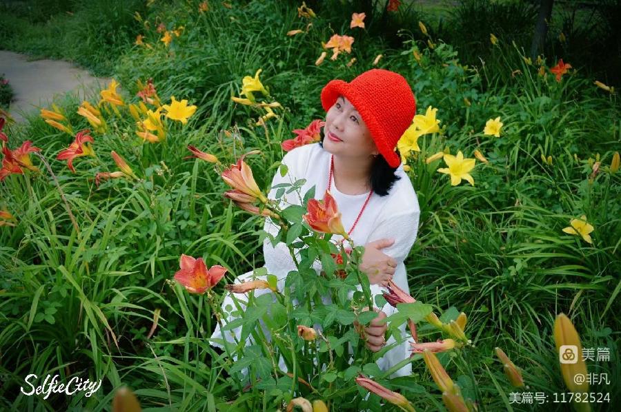 非凡:与花儿媲美（图5）
