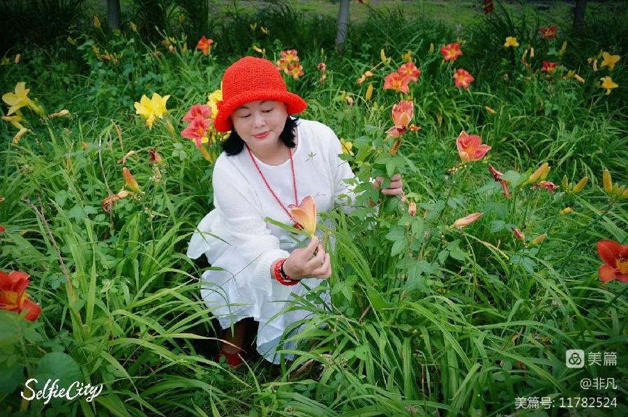 非凡:与花儿媲美（图8）