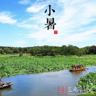 【格律诗专辑】作者 王世金（大连草根吟叟）【冰心文化传媒】主编 冰心（甘肃）（图14）