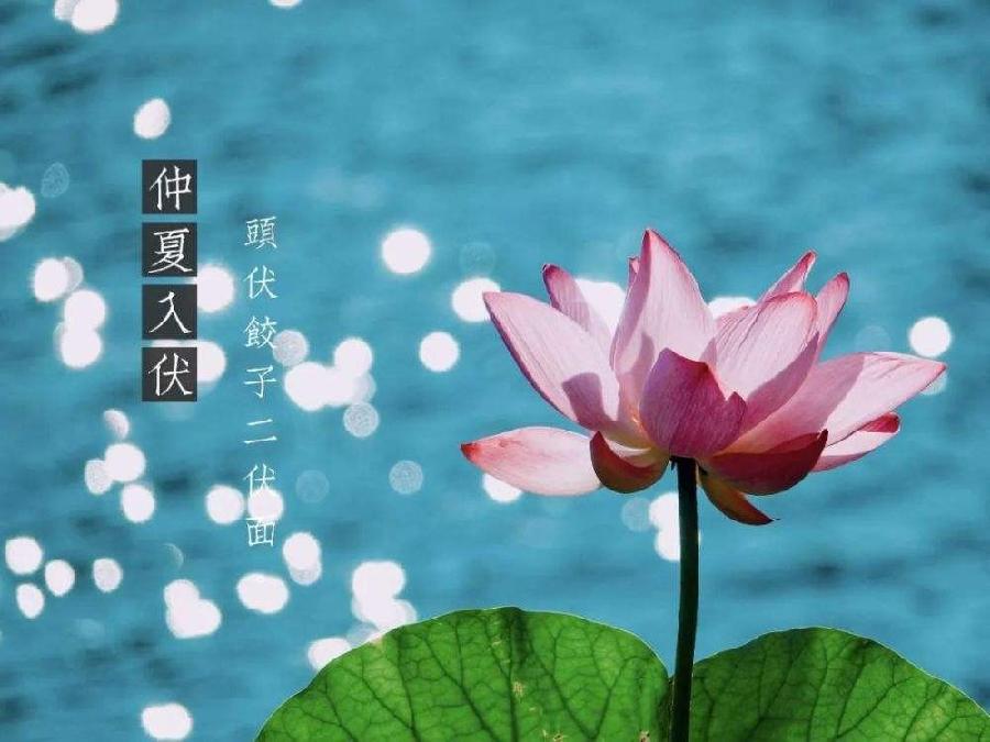 【格律诗专辑】作者 王世金（大连草根吟叟）【冰心文化传媒】主编 冰心（甘肃）（图10）