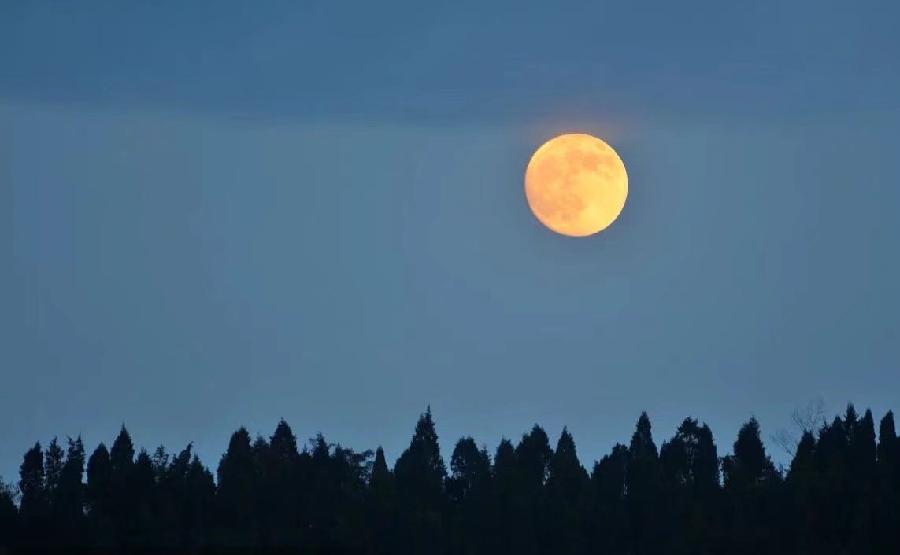 红榜诗人山野之水《仲夏月圆》诗二首(图3)