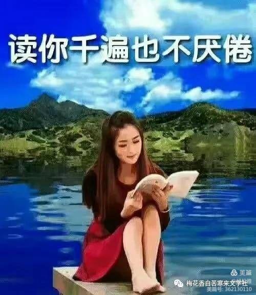 给网络诗词点评感悟【散文】文/依然（图3）