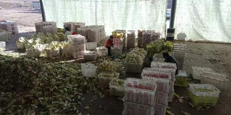夏收时节* 文 /任国璠(甘肃永登)【冰心文化传媒】主编冰心(图10)