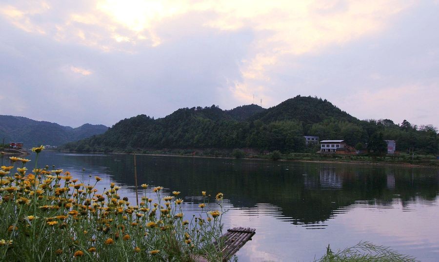 抒情诗人夏牧作品‖在江口，迎着雪山的风 主播‖山谷幽兰（图4）