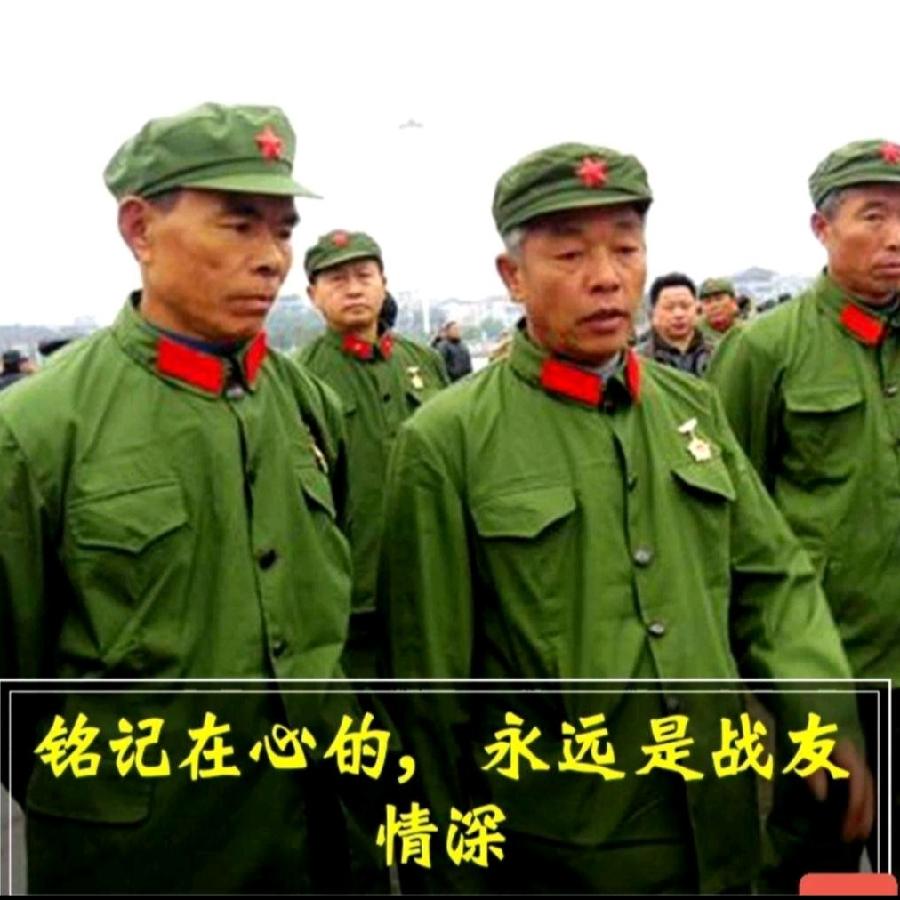 【名家专刊】【有声文学】【九江文学社:北京头条】傅塘根先生美文《战友颂》诵读/放飞(图4)