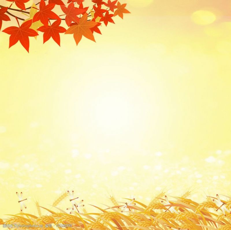 《山乡四季谣》作者：陈绍清（图4）