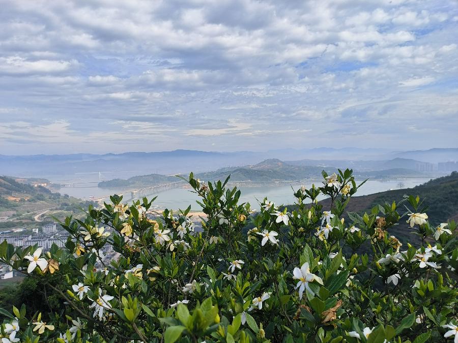 谢青山农 心尘《心尘文艺》（图3）