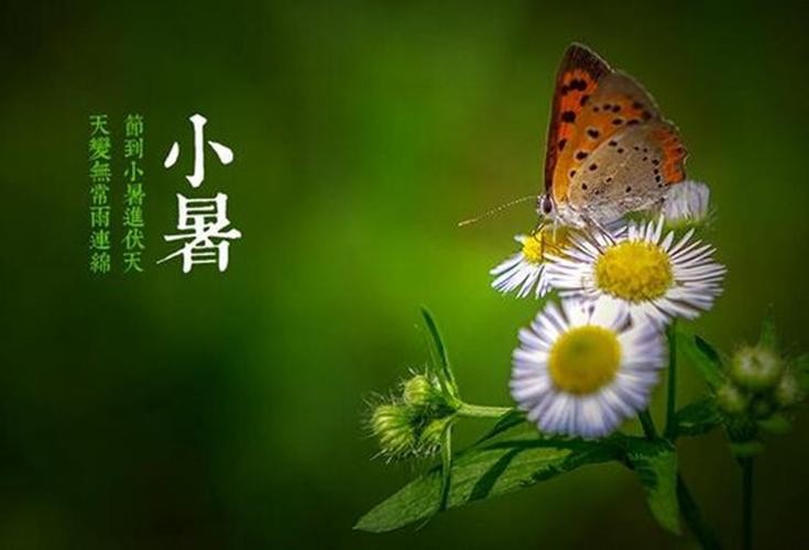 【经典推荐】“农民诗人”曹南强//勤练{外十首}(图5)